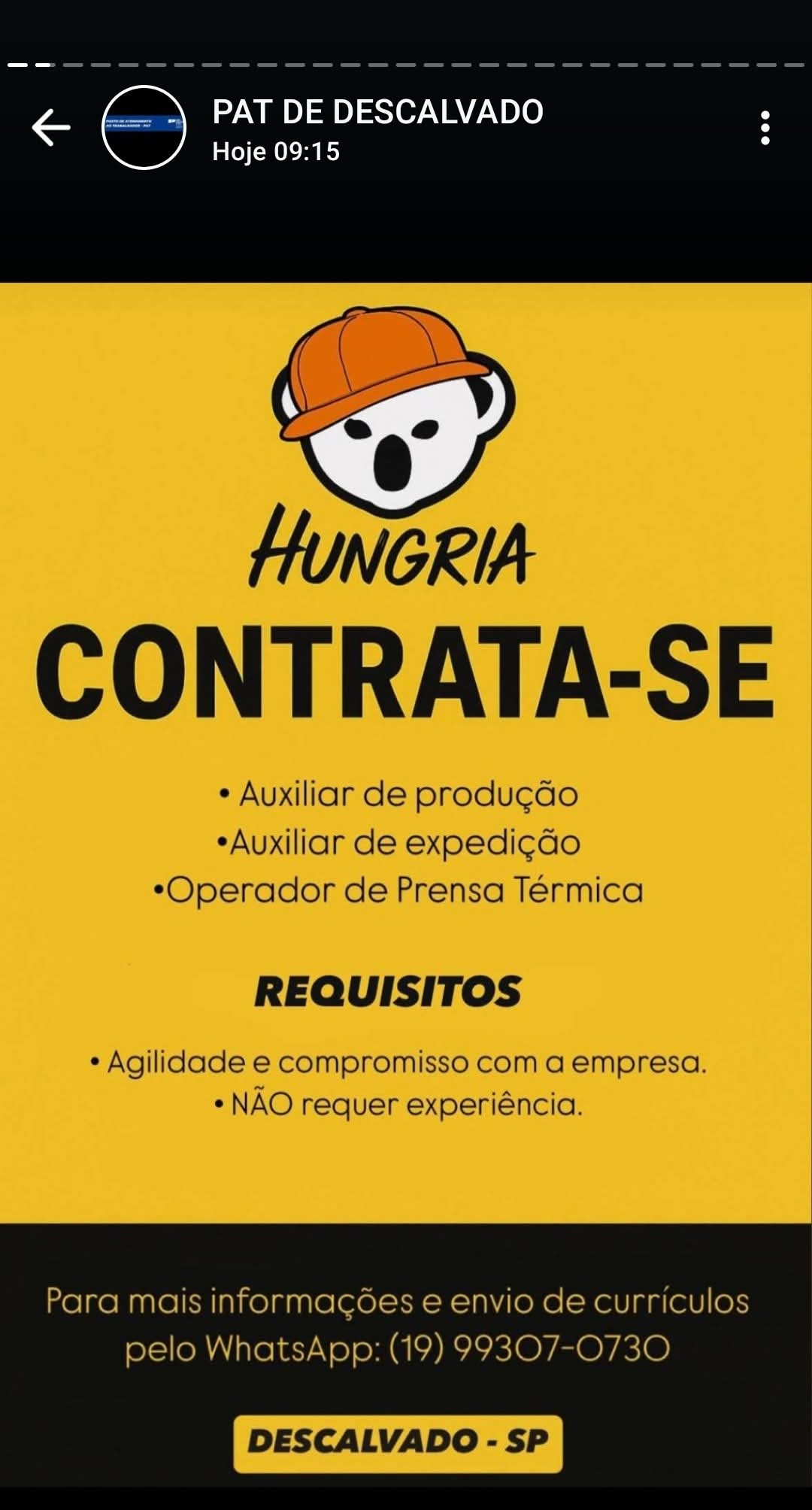 Notícia