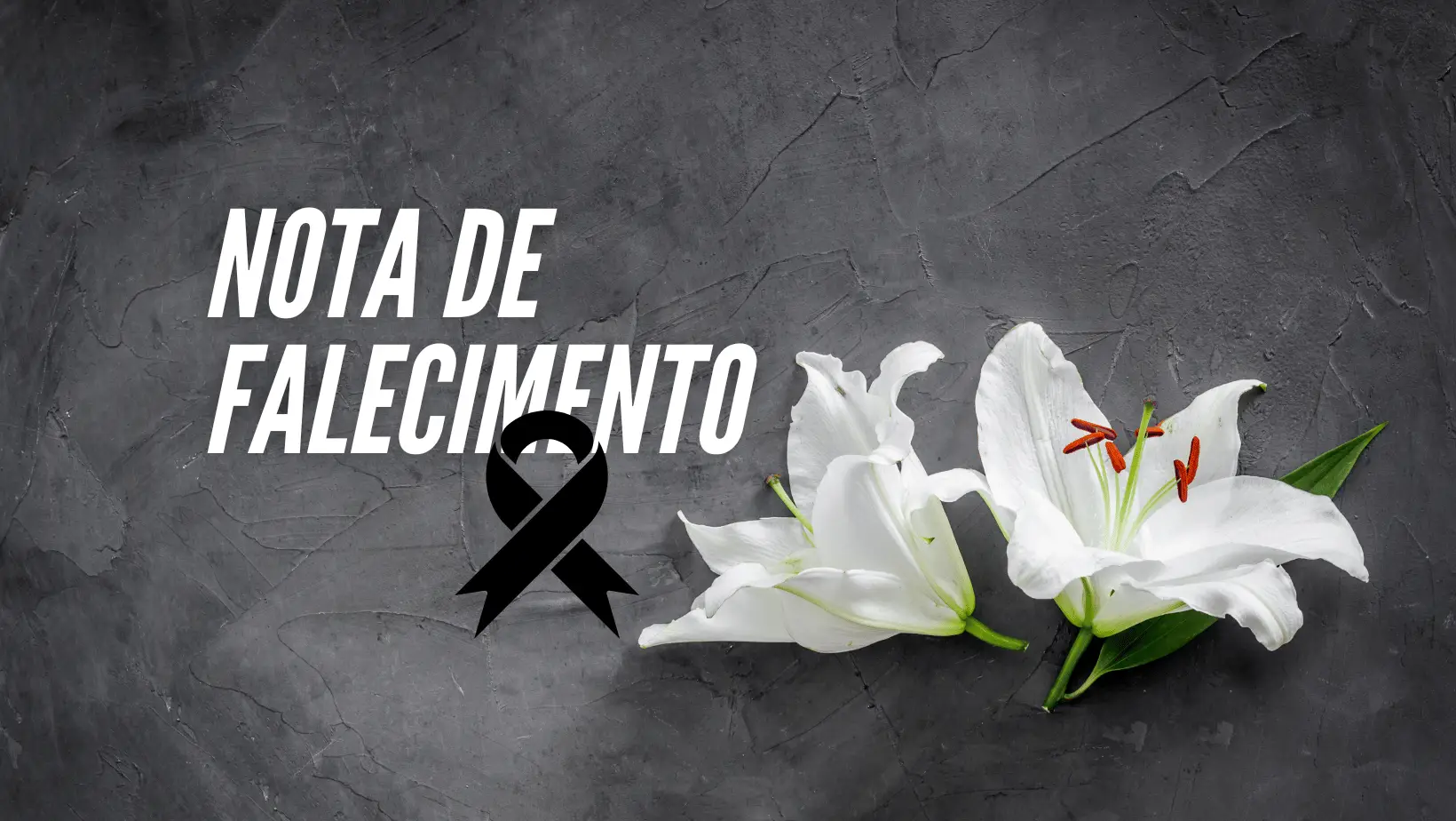 Notícia