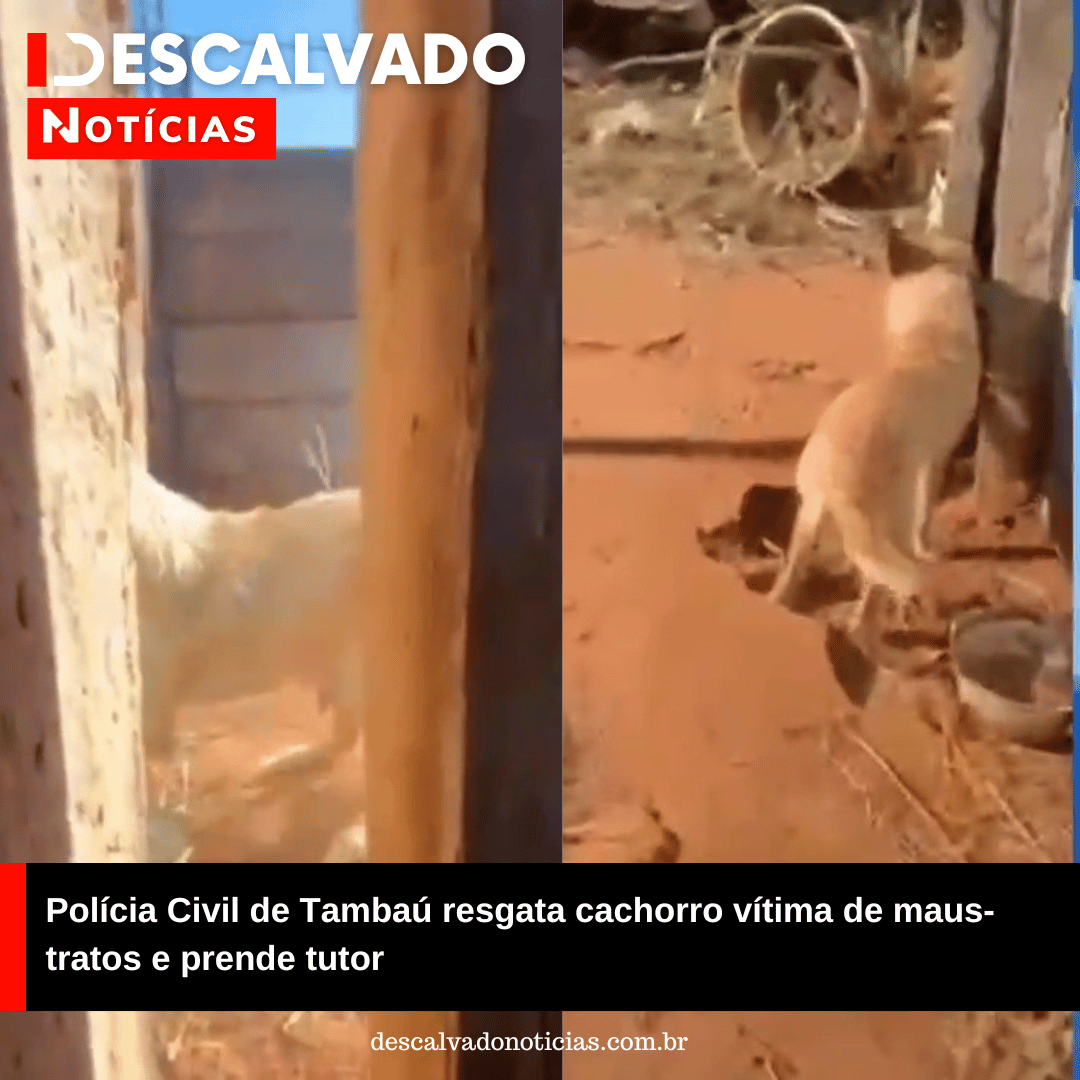 Notícia